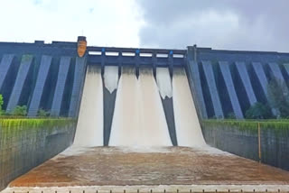 satara koyna dam gates fixed at one and a half feet water storage ninety tmc across