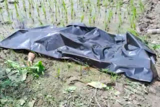 tmc-leader-body-found-in-itahar-north-dinajpur