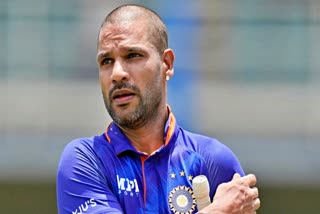 Shikhar Dawan on ICC World Cup  Shikhar Dhawan interview  Dhawan on his cricket  Shikhar Dhawan news