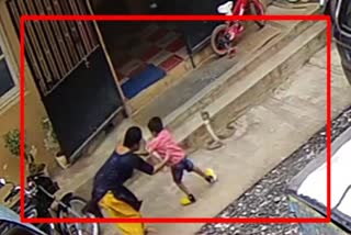 CCTV Video: Alert Mother saved her son from snake bite in a fraction of seconds in Mandya