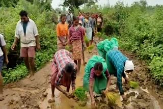 villagers protest for road problem in karlapada kalahandi