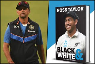 ross-taylor-described-rahul-dravid-as-a-tiger