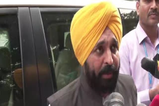 Punjab CM Mann watches 'Laal Singh Chaddha', says it speaks of mutual brotherhood