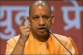 cm yogi