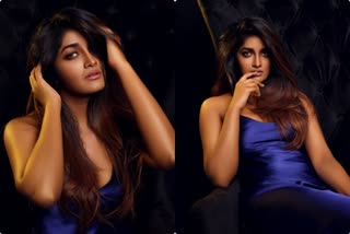 Dimple Hayathi Hot Gallery