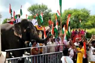 independence day in hathi gaon