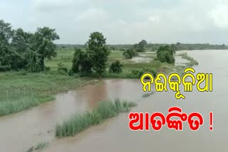 ଆସୁଛି ବନ୍ୟା, ମୁକାବିଲା ପାଇଁ ପ୍ରସ୍ତୁତ କେନ୍ଦ୍ରାପଡ଼ା ପ୍ରଶାସନ