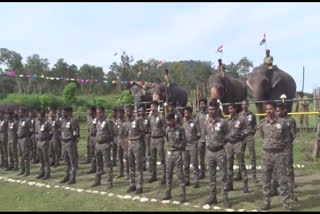 முதுமலையில் யானைகள் பங்கேற்ற ஏழுபத்து ஐந்தாவது சுதந்திர தின விழா