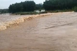 flood at baitarani river in bhadrak