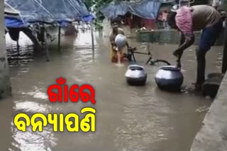 PURI COLLECTOR  SAMARTH VERMA REVIEW FLOOD SITUATION IN PURI DISTRICT