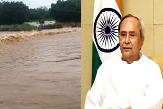 cm will review odisha flood situation