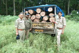 Sal wood recovered in Doiwala