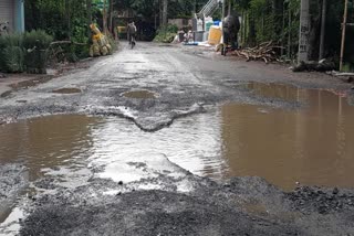 Jaynagar Damage Road