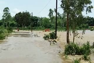 heavy rain in chhattisgarh