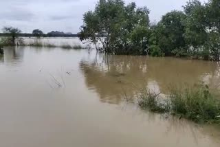 Flood situation in nayagarh