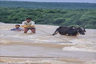 Shivpuri Pawa Waterfall