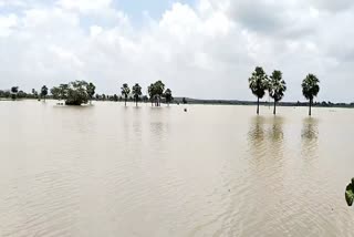 flood situation in khurdha