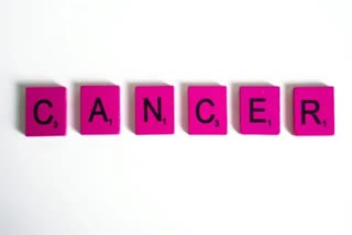 Cancer Study News