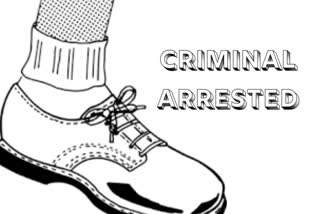 Logo on a Shoe Criminal arrested