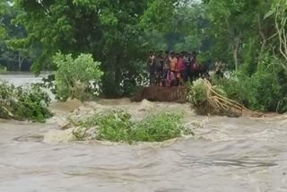 flood in Odisha