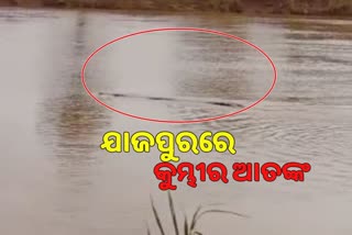 ଯାଜପୁରର ଦୁଇଟି ସ୍ଥାନରେ କୁମ୍ଭୀର ଆତଙ୍କ