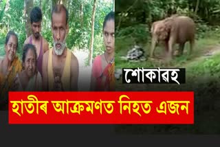 Men dead by elephant attack in kaliabor