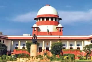 Can free education, universal healthcare be termed as freebies, asks SC