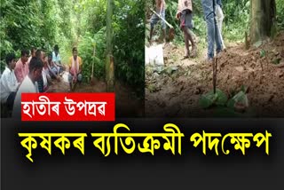 farmer unique step in golaghat