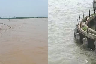 Godavari Water Level Today