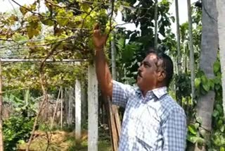 davanagere-farmer-successfully-integrated-farming-on-just-two-acres-of-land