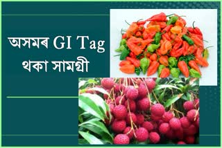 List of GI Tags of Assam