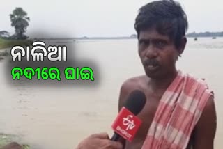 flood situation in baitarani river in bhadrak