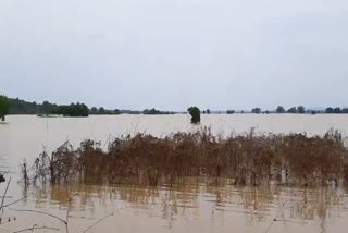 FLOOD WATER REDUCED IN NAYAGARH DISTRICT