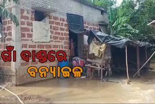 FLOOD WATER SUBMERGED MANY VILLAGES IN PURI AFTER BREACH DEVELOPED IN EMBANKMENT OF DHANUA RIVER