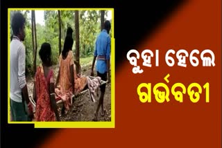 ଗାଁକୁ ନାହିଁ ରାସ୍ତା, ଖଟିଆରେ ବୁହାହେଲେ ଗର୍ଭବତୀ