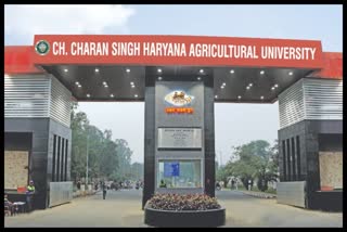 Haryana Agricultural University