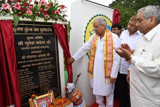 Krishna Kunj inaugurated on Krishna Janmashtami in Chhattisgarh