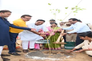 Plantation in Krishna Kunj