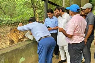 Tej Pratap Yadav