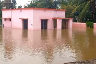 Several panchayat of Delanga  affected by the flood