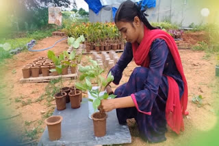 ప్లాస్టిక్ కవర్లకు బదులుగా పర్యావరణహిత మొక్కల తొట్టి, పదో తరగతి కాకముందే పారిశ్రామికవేత్త