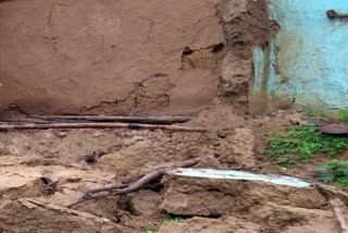 mud house collapsed due to landslides in Samole village in Muttal area of Udhampur districtEtv Bharat