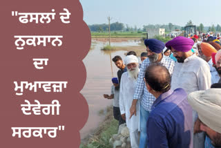punjab government will compensate the damage crop