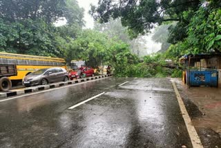 Heavy Rain in Ranchi