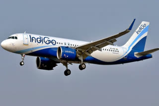 Indigo flight news