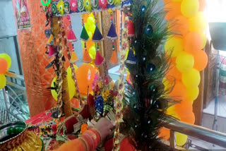 krishna-janmashtami-celebrated