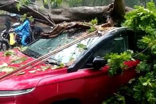 Heavy Rain in Ranchi