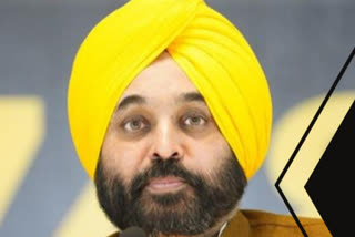 Punjab Chief Minister Bhagwant Mann