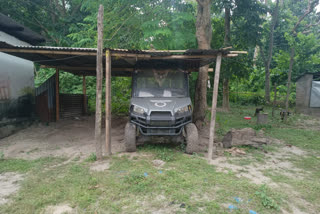 Kaziranga