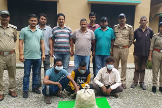 5 arrested with pangolin sulks in Haldwani